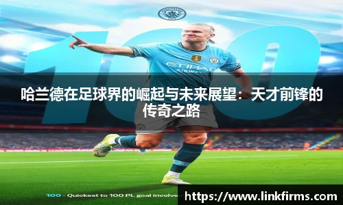 今年会手机网页版登录
